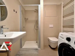 Pronájem bytu 1+kk, Brno, Turgeněvova, 40 m2