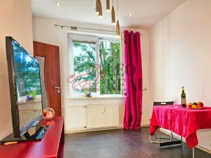 Prodej bytu 3+1, Nový Jičín, Vančurova, 55 m2