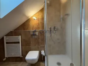 Pronájem bytu 3+kk, Praha, Korunní, 157 m2