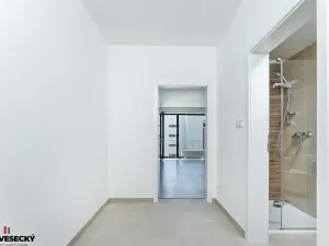 Prodej bytu 1+kk, Plzeň, Železná, 37 m2