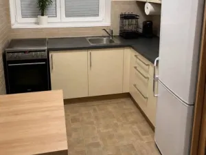 Pronájem bytu 2+1, Březnice, Ludvíka Kuby, 55 m2