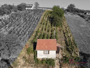 Prodej zahrady, Mikulov, Nová, 14 m2