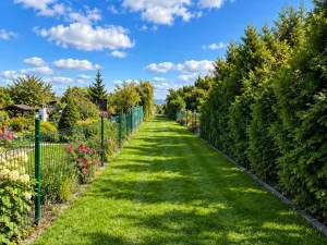 Prodej zahrady, Chomutov, 400 m2