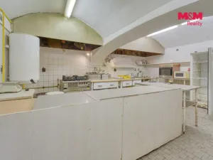 Pronájem restaurace, Plzeň - Východní Předměstí, Sladkovského, 170 m2