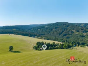 Prodej pozemku pro bydlení, Říčky v Orlických horách, 1400 m2