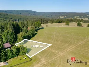 Prodej pozemku pro bydlení, Říčky v Orlických horách, 1400 m2