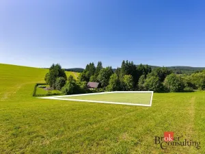 Prodej pozemku pro bydlení, Říčky v Orlických horách, 1400 m2