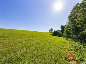 Prodej pozemku pro bydlení, Říčky v Orlických horách, 1400 m2
