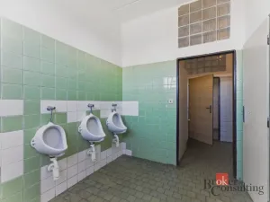 Pronájem výrobních prostor, Hradec Králové - Slezské Předměstí, Výrobní, 376 m2