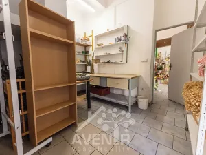 Prodej komerční nemovitosti, Ratíškovice, Vítězná, 329 m2