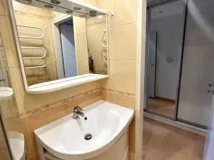 Pronájem bytu 1+kk, Frýdek-Místek - Frýdek, Hasičská, 29 m2