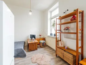 Pronájem bytu 1+kk, Přerov - Přerov I-Město, Husova, 26 m2