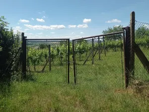 Prodej sadu/vinice, Mikulov, Zlámalova, 3460 m2
