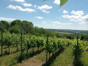Prodej komerčního pozemku, Mikulov, Zlámalova, 3460 m2