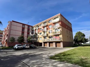 Prodej bytu 3+1, Litovel, Novosady, 71 m2