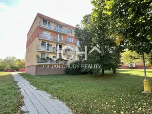 Prodej bytu 3+1, Litovel, Novosady, 71 m2