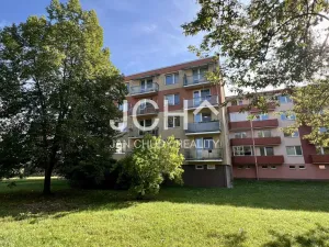 Prodej bytu 3+1, Litovel, Novosady, 71 m2