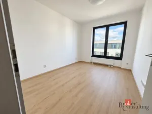 Pronájem bytu 2+kk, Plzeň - Jižní Předměstí, Železná, 52 m2