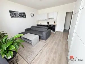 Pronájem bytu 2+kk, Kladno - Kročehlavy, Jaroslava Holečka, 52 m2