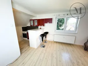 Pronájem bytu 1+kk, České Budějovice, Dobrovodská, 32 m2