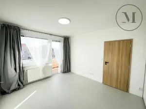 Pronájem bytu 1+1, České Budějovice, Puklicova, 41 m2