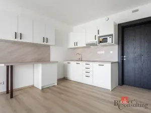 Pronájem bytu 1+kk, Olomouc - Nová Ulice, Třída Jiřího Pelikána, 32 m2
