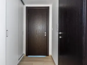 Pronájem bytu 1+kk, Olomouc - Nová Ulice, Třída Jiřího Pelikána, 32 m2