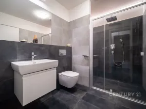 Prodej bytu 2+kk, České Budějovice - České Budějovice 2, Volejbalistů, 54 m2