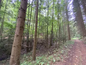 Prodej louky, Strážná, 2049 m2