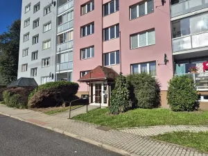 Pronájem bytu 1+1, Cvikov, 43 m2