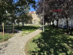 Pronájem bytu 1+1, Brno, Kotlářská, 49 m2