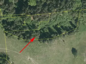 Prodej louky, Horní Dvořiště, 3918 m2