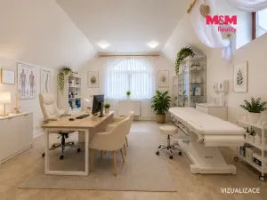 Pronájem obchodního prostoru, Čelákovice, Sedláčkova, 39 m2