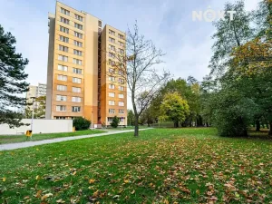 Pronájem bytu 1+kk, Bohumín, Svat. Čecha, 28 m2