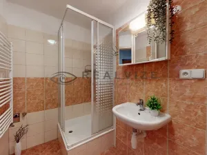 Prodej bytu 1+kk, České Budějovice, Riegrova, 35 m2