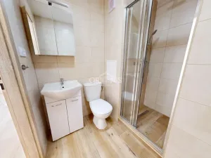 Pronájem bytu 1+1, Chomutov, Březenecká, 33 m2