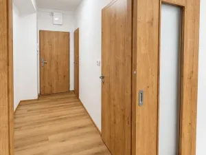 Pronájem bytu 2+1, Okříšky, 56 m2