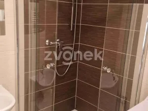 Pronájem bytu 1+kk, Uherské Hradiště, Pastýrna, 30 m2
