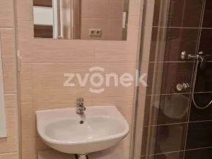 Pronájem bytu 1+kk, Uherské Hradiště, Pastýrna, 30 m2