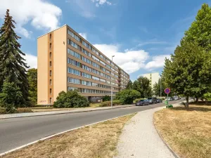 Prodej bytu 2+kk, Praha - Karlín, Nekvasilova, 42 m2