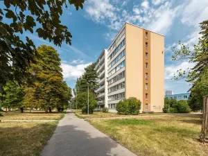 Prodej bytu 2+kk, Praha - Karlín, Nekvasilova, 42 m2