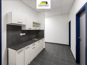 Pronájem skladu, Ostrava - Vítkovice, 15000 m2