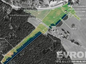Prodej komerční nemovitosti, Orlické Záhoří, 1751 m2