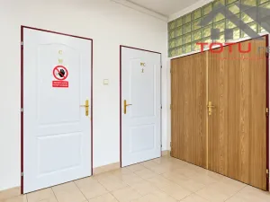 Prodej obchodního prostoru, Kostelec nad Orlicí, Mánesova, 1058 m2