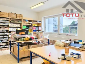 Prodej obchodního prostoru, Kostelec nad Orlicí, Mánesova, 1058 m2
