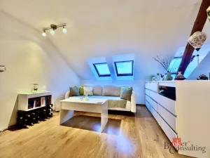 Pronájem bytu 1+1, Opava - Kateřinky, Dobrovského, 40 m2
