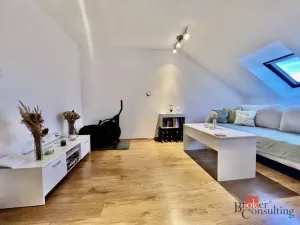 Pronájem bytu 1+1, Opava - Kateřinky, Dobrovského, 40 m2