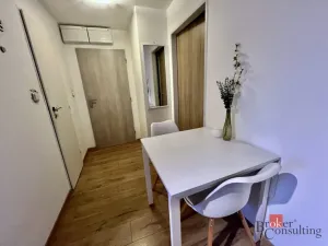 Pronájem bytu 1+1, Opava - Kateřinky, Dobrovského, 40 m2