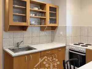 Prodej bytu 1+kk, Liberec, Nad Školou, 34 m2