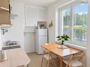 Pronájem bytu 2+1, Teplice, Josefa Suka, 49 m2